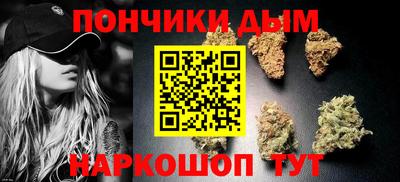 индика Ливны