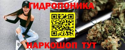 индика Ливны