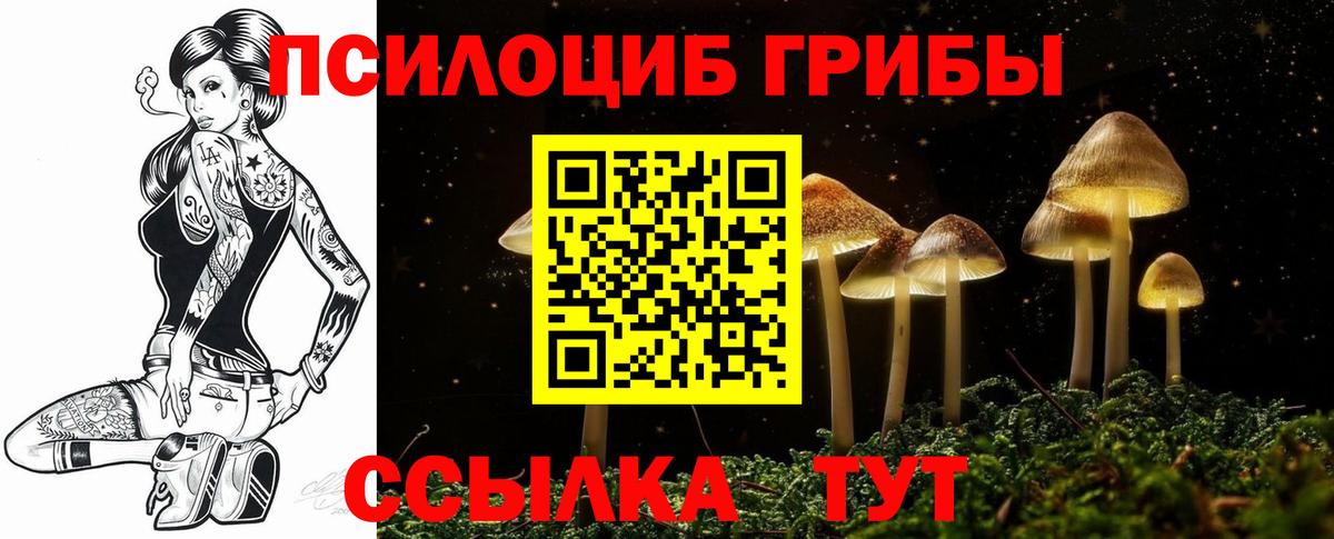 Галлюциногенные грибы мухоморы  Галлюциногенные грибы прущие грибы  Домодедово  Вход с VPN 
